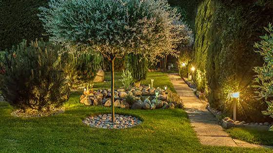 Beleuchteter Garten mit Baum und Wegleuchten